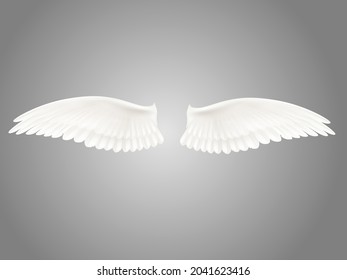 Angel wings isolated on white background with clipping part
