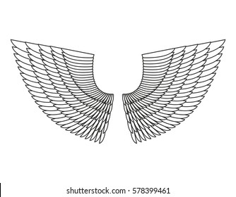 Angel Wings Isolated. White Feather wing of bird

