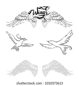 Angel Wings Lettering Drawing Vector Humming Stock Vector (Royalty Free ...