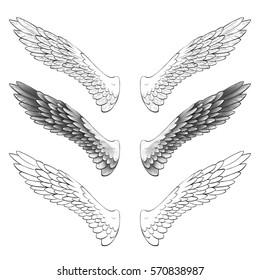 angel wings, lettering, drawing vector