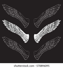 angel wings, lettering, drawing vector
