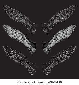 angel wings, lettering, drawing vector