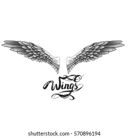 angel wings, lettering, drawing vector