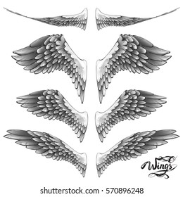 angel wings, lettering, drawing vector