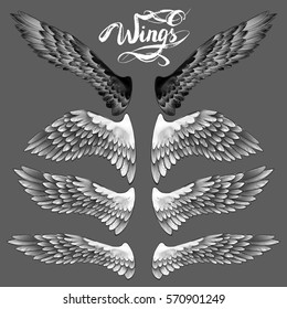 angel wings, lettering, drawing vector