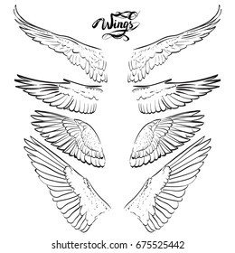 angel wings, lettering, drawing vector