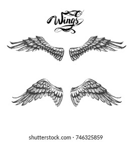 angel wings, lettering, drawing vector

