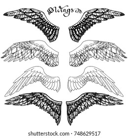 angel wings, lettering, drawing vector