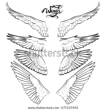 angel wings, lettering, drawing vector