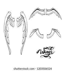 angel wings lettering vector