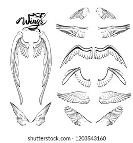 angel wings lettering vector