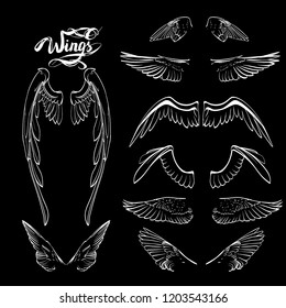 angel wings lettering vector