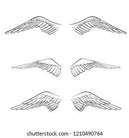 angel wings lettering vector