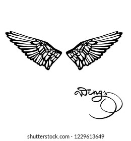 angel wings lettering vector