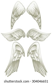 Angel wings on white illustration