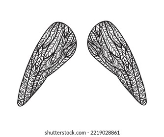 Angel wings. Outline drawing on a white background.Vector illustration.300 dpi.	