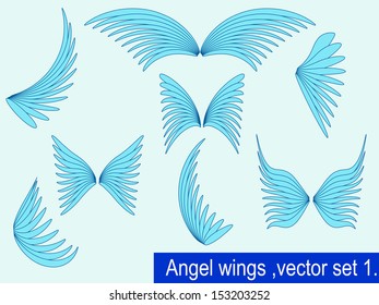 Angel wings, set 1.