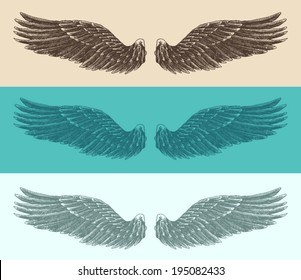 angel wings set illustration, engraved style, hand drawn, sketch