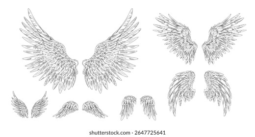 Esboço de asas de anjo. Par de penas aladas de pássaro gravadas à mão desenhado ilustração vetor conjunto. Estilo de tinta de imagem de tatuagem gótico. Símbolo do céu da liberdade. Elemento de design de asas heráldicas isolado