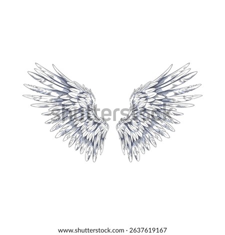 Angel wings sketch. Spread white wings. Pair of bird winged feathers vector hand drawn illustration. Freedom heaven symbol. Heraldic design element isolated