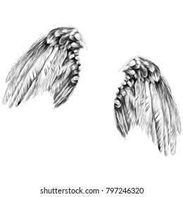 angel wings sketch vector graphics monochrome drawing