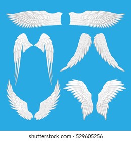 Angel wings vector illustration. 