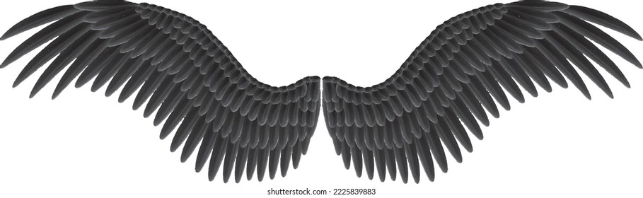 Angel wings vector illustration design