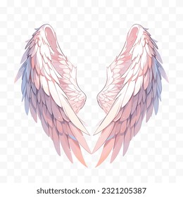 Angel wings vector illustration. Wings isolated