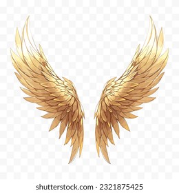 Angel wings vector illustration. Wings isolated