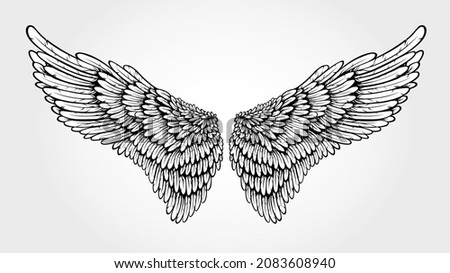 Angel Wings Vector Illustration. Illustration of a pair of outstretched beautiful white wings. 