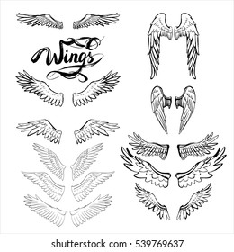 Angel Wings Vector, Lettering, Drawing