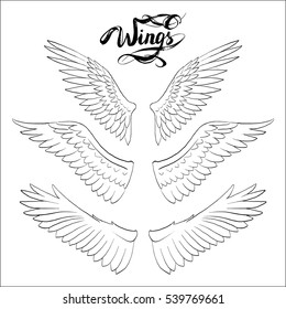 angel wings vector, lettering, drawing