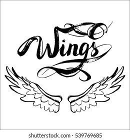 angel wings vector, lettering, drawing