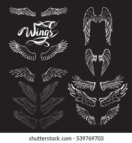 angel wings vector, lettering, drawing