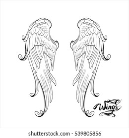 angel wings vector, lettering, drawing