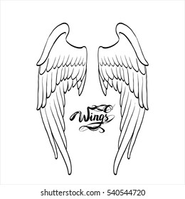 angel wings vector, lettering, drawing