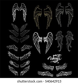 angel wings vector, lettering, drawing, set icon