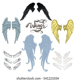 angel wings vector, lettering, drawing