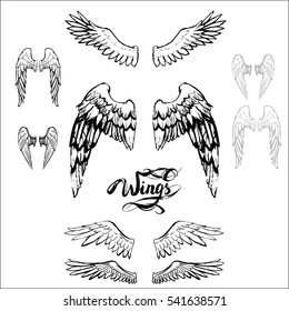 angel wings vector, lettering, drawing