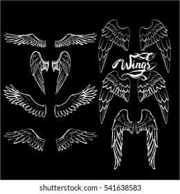 angel wings vector, lettering, drawing