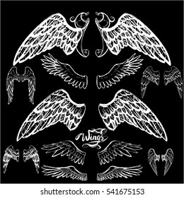 angel wings vector, lettering, drawing