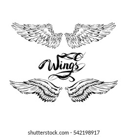 Angel Wings Vector Lettering Drawing Stock Vector (Royalty Free ...