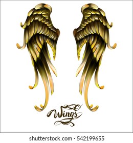 angel wings vector, lettering, drawing