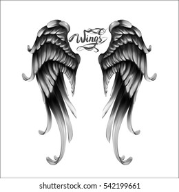 angel wings vector, lettering, drawing