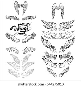 Angel Wings Vector, Lettering, Drawing