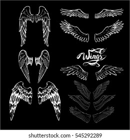 angel wings vector, lettering, drawing