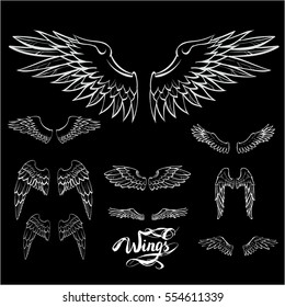 angel wings vector, lettering, drawing