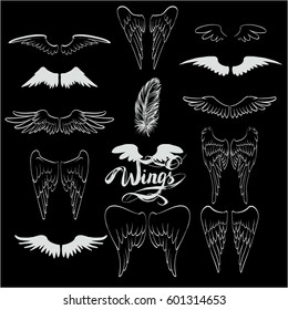 angel wings vector, lettering, drawing