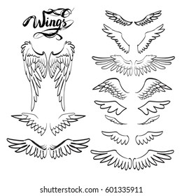 angel wings vector, lettering, drawing