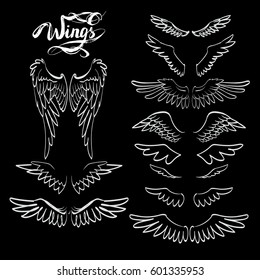 angel wings vector, lettering, drawing